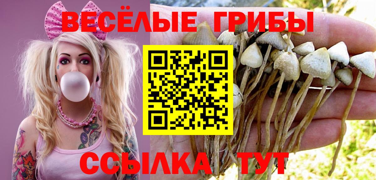 Ессентуки  Галлюциногенные грибы MAGIC MUSHROOMS  Вход с VPN 