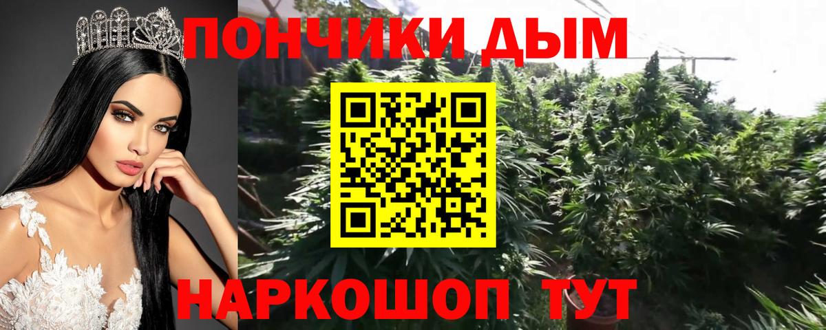 Бошки марихуана марихуана Ессентуки